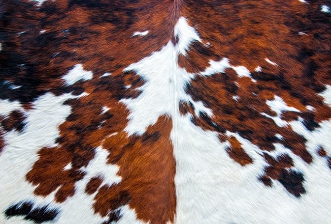 Cowhide Roycycled Treasures