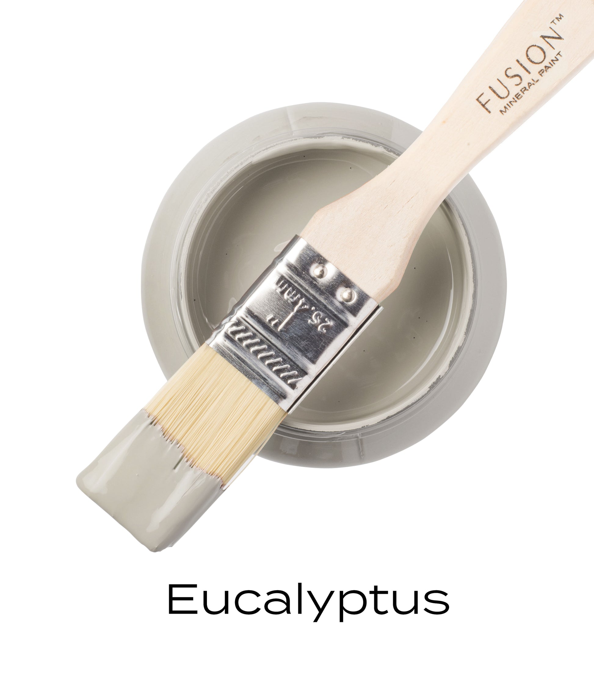 Eucalyptus Mineral Paint Fusion