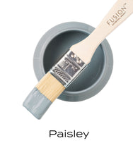 Load image into Gallery viewer, Paisley Mineral Paint Fusion
