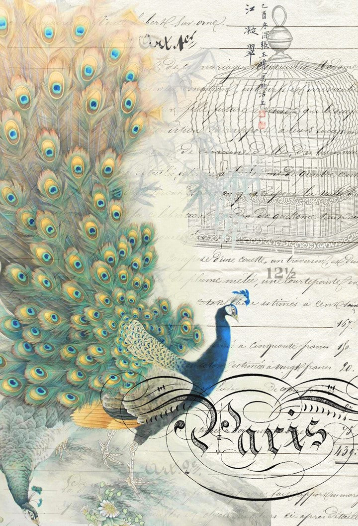 Peacock Ephemera Left Roycycled Treasures