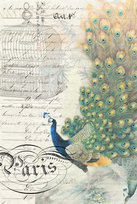 Peacock Ephemera Right Roycycled Treasures